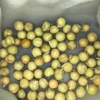 発根