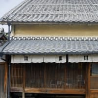 NIPPONIA 