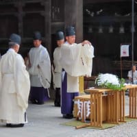 北野天満宮　夏越の大祓　土用干し　猫たちの茅の輪くぐり