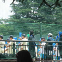 参院選の期日前投票をして航空記念公園へ（埼玉・所沢）