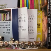 ◎*エーリカ・ルンゲ:「ボットロパー調書」と戦後ドイツ文学