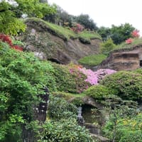 「海蔵寺」の花たち
