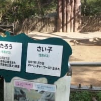 ひとりがお好き