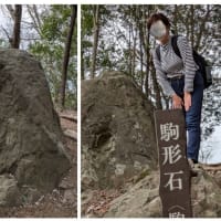太平山神社と晃石山（栃木市）