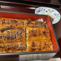鰻が好き