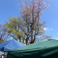 過酷だけど楽しい京都イベント