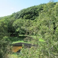 北海道-平岡公園