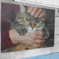 山口県郵便局訪問　NO.7　防府市　菅原道真の最後の赴任地が防府市で有り、ここで、１００４年（寛弘元年）に一条天皇から「無実の知らせ」が奏上されたそうです
