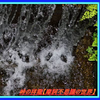🐉🌈〖日蓮大聖人〗由来の清流に【⚡龍神様⚡】出現❢❢
