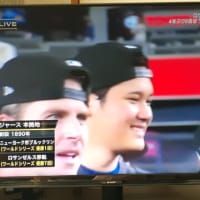 ワーイ　ワーイ＼(^O^)／