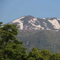 帯状疱疹ワクチンで「認知症リスク減少」By羽鳥モーニングショー