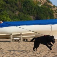 海で遊んだ日