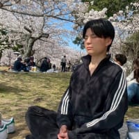 🌸season🌸