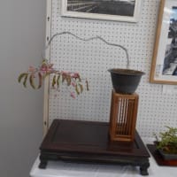 第19回花園公民館まつり