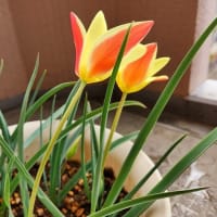 毎回思う。