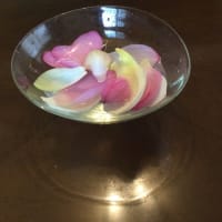 蓮の花