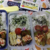 3人分お弁当