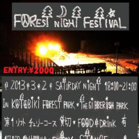 Forest Night Festival