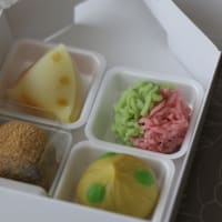 京都老舗和菓子屋さんの生菓子