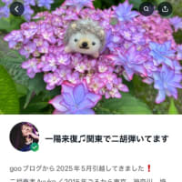 Amebaブログに引っ越し完了しました❗️