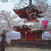 日本100名城＆番外　安芸の宮島の春　2006-4-5～9