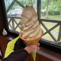 乗り込めた1週間