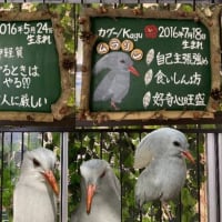 少し風がありました😌