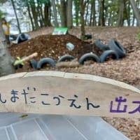 【通算　1256回目　2025年4月20日(日)　『常連だけがやる居場所の証』】