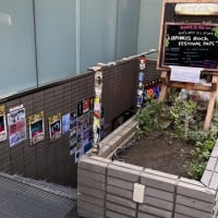 花粉強い