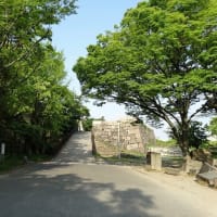 06/13お城めぐり-22：（大阪城）