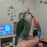 嬉しい事色々🍀