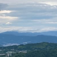 竹林庵 みずの（網代温泉）2024年7月　初訪その②