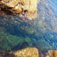 海・海・海　やっぱり海はいい