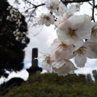 サボタージュの終焉。