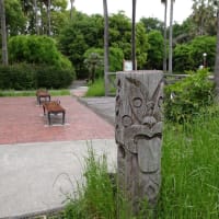 ブラブラ～フォト　公園内の花　＆　ニュージーランド庭園