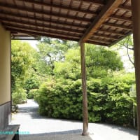 【京都幕間旅情】光悦寺,江戸時代の芸術一大拠点に想う文章を書くという事と描くという事