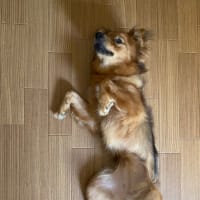 あつー💦