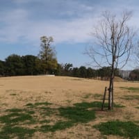 埼玉古墳群