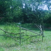 竹と木と森のアート【友愛の森里山再生ARTプロジェクト2024＜5＞】