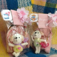 春の新商品　第二弾！　Spring - festival