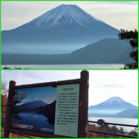 富士の国