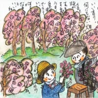 色えんぴつ。