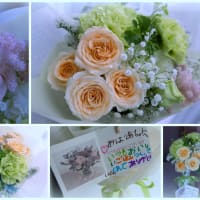 ●我が家の５月の花（13）　アヤメ　ユキノシタ　ヒペリカム・アンドロサエマム　コデマリの花後　母の日の花束