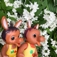 ロバくんと白い小さなお花