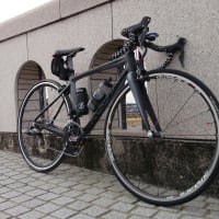 １月２５日   ようやく復帰