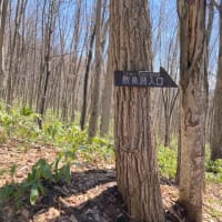 岐登牛山　2025/4/18