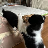 解放タイム