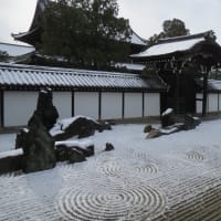 京都で雪