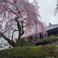 令和七年三月二十九日 支部総登山