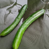 2025/06/26 結構な雨降りなので